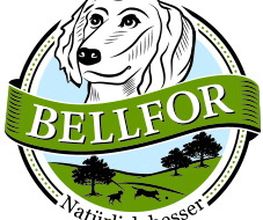 Bellfor Logo