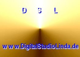 Goldener Hintergrund mit den Buchstaben "D S L" und Website "www.DigitalStudioLinda.de".