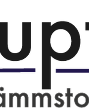 Haupt-Dämmstofftechnik Logo