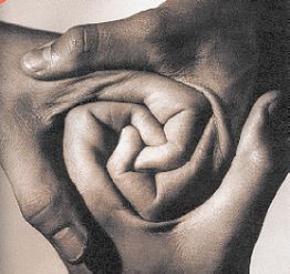 Zwei Hände formen gemeinsam ein Herz, das Vertrauen und Zuneigung symbolisiert.