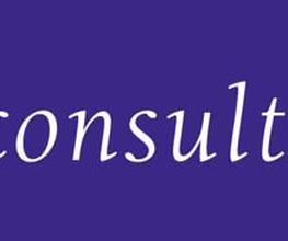 feder consulting Unternehmensberatung Logo