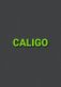 Text "CALIGO" in grün auf einem dunkelgrauen Hintergrund.