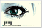 Nahaufnahme eines grünen Auges mit langen Wimpern.