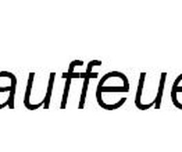 lauffeuer-chemnitz.de Logo