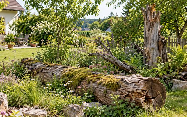 Naturnaher Garten mit liegendem und stehendem Totholz zwischen Wildblumen, Gräsern und Gehölzen.