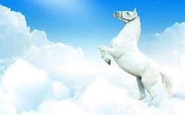 Caballo blanco encabritado entre nubes bajo un cielo azul brillante.