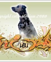 Individuelle Graffiti Leinwand 1,7m x 0,8m