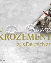 Mikrozement Logo