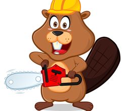 BAUMPFLEGE-SPIESS Logo