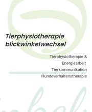 Tierphysiotherapie blickwinkelwechsel Logo