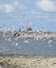 Internetvermittlungsagentur Logo