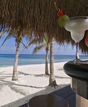 Cócteles en una playa tropical, con palmeras y una pareja caminando junto al mar azul.