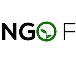 Mango-Film Logo