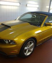 Waxoyl Versiegelung Neuwagen