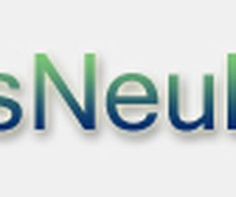 Dennis Neubacher IT-Service Logo