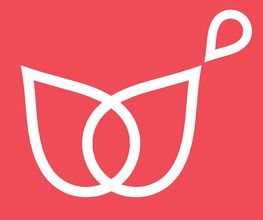 wellnissimo Logo