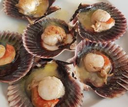 Vieiras en sus conchas sobre un plato blanco, acompañadas de medio limón en rodajas.