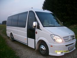 Weißer Mercedes-Kleinbus steht auf Feldweg neben grüner Wiese und Wald im Hintergrund.