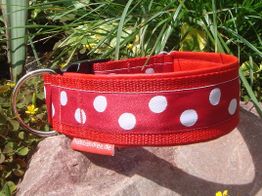 Rotes Hundehalsband mit weißen Punkten auf einem Stein, im Hintergrund grüne Pflanzen.