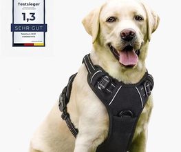 Hund mit schwarzem Geschirr, daneben Testnote 1,3 "Sehr Gut" als Testsieger.
