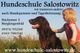 Kind mit Hund, Werbung für Hundeschule Salostowitz mit Kontaktdaten und Webseite.