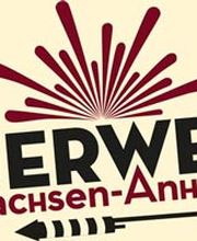 Feuerwerk-Sachsen-Anhalt24.de Logo