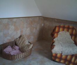 Hundezimmer