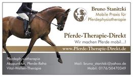 Reiter auf braunem Pferd, Text: "Pferde-Therapie-Direkt", Kontaktinfos und Leistungen darunter.