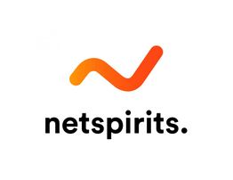 Logo mit einem orangefarbenen geschwungenen Pfeil über dem Schriftzug "netspirits".
