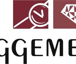 Uhren Schmuck Augenoptik Priggemeyer Logo