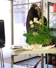 Friseursalon-Ecke mit Stuhl, Tisch, Pflanzen, Zeitschriften und Haarpflegeprodukten.