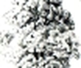 Lebendbau Götz Papke Logo