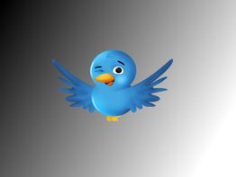 Blauer Cartoon-Vogel zwinkert, schwebt mit ausgebreiteten Flügeln vor grauem Hintergrund.