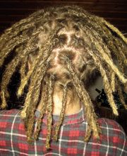 Dreadart.de - Erstellung & Pflege von Dreadlocks