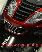 Peugeot Metropolis Logo