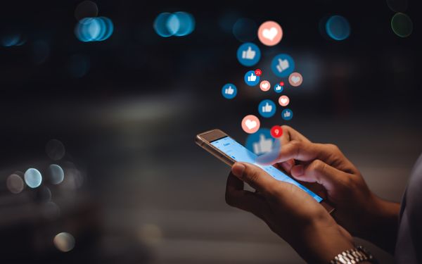 Person kontrolliert den Social Media Bericht, ihrer Cross-Channel Kampagne, welche sie mithilfe eines SaaS-Tools kontrolliert.