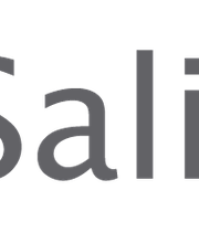 Salind UG Logo