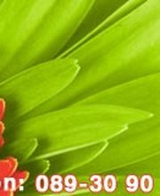 Rufen Sie uns einfach an. Wir freuen uns auf Sie!