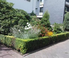 Gartenpflege