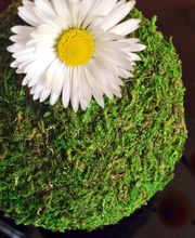 TINKERWERKSTATT Logo