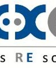 nexxus-consulting Logo