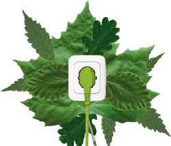 Steckdose mit grünem Stecker von Blättern umgeben, symbolisiert nachhaltige Energie.