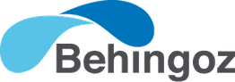 Logo con texto "Behingoz" y diseño de formas curvas en tonos azul claro y oscuro.