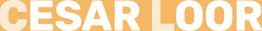 Texto en mayúsculas "CESAR LOOR" en fondo naranja claro.