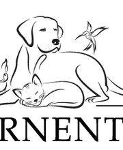 Sternentier Bestattung Logo