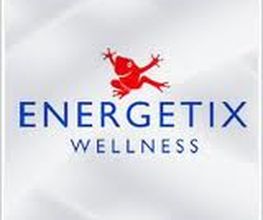 Energetix Wellness Magnetschmuck Direktvertrieb Logo