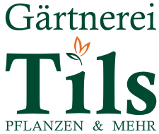 Logo der Gärtnerei Tils mit einem Blatt als i-Punkt, Text: "Pflanzen & Mehr" darunter.