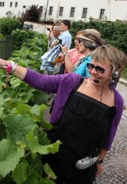 Gruppe von Menschen mit Kopfhörern besichtigen üppige grüne Pflanzen im Freien.