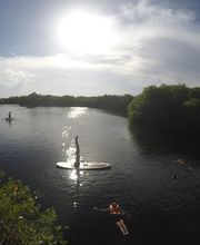 Personas hacen paddleboarding y nadan en un lago rodeado de vegetación, con el sol brillando.