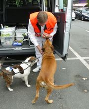 Ambulanz in Nürnberg